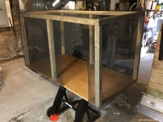 Custom Catio for Ragdoll Cats Leo & Shelby: A Stylish Outdoor Retreat
