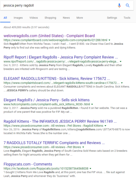Ragdoll Breeders Sue Jessica Perry & Leah Keeran of We Love Ragdolls