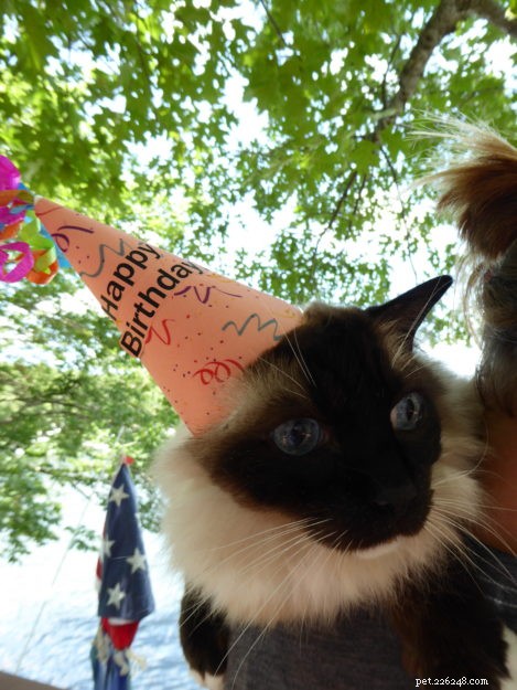 Celebrating Caymus’s 13th Birthday: A Heartwarming Tribute