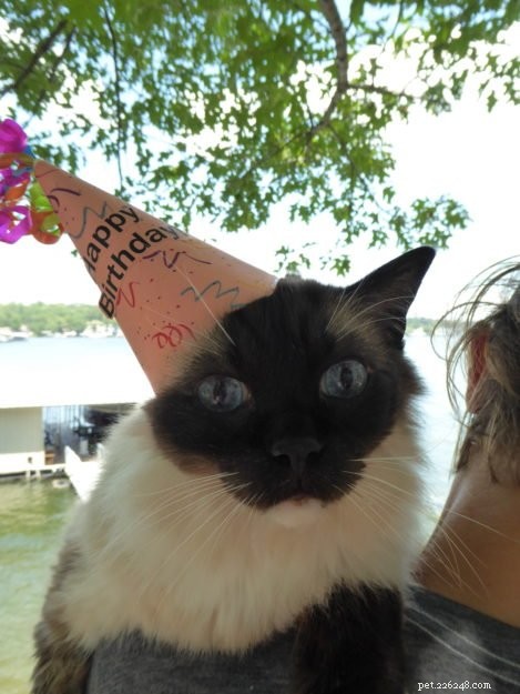 Celebrating Caymus’s 13th Birthday: A Heartwarming Tribute