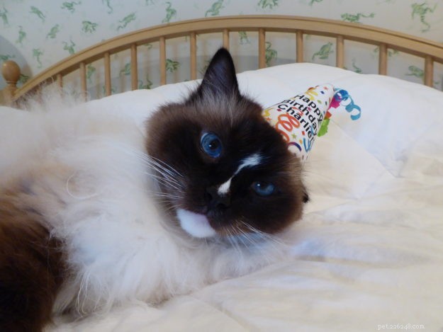 Celebrating Charlie’s 8th Birthday: A Heartwarming Family Moment