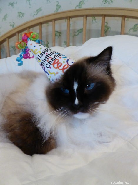 Celebrating Charlie’s 8th Birthday: A Heartwarming Family Moment