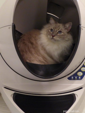 Save $75 on Litter Robot 3 – Exclusive Bundle Deal for 2024