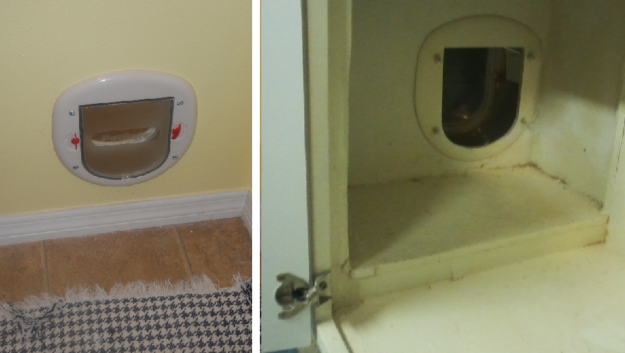 DIY Litter Box Enclosure: Stylish, Hidden Furniture to Keep Cats and Homes Clean