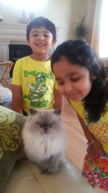 Meet Trixie: The Floppy Cat Highlight of the Week
