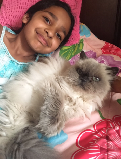 Meet Trixie: The Floppy Cat Highlight of the Week