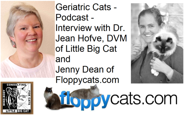 Caring for Geriatric Cats – Dr. Jean Hofve, DVM Shares Expert Insights