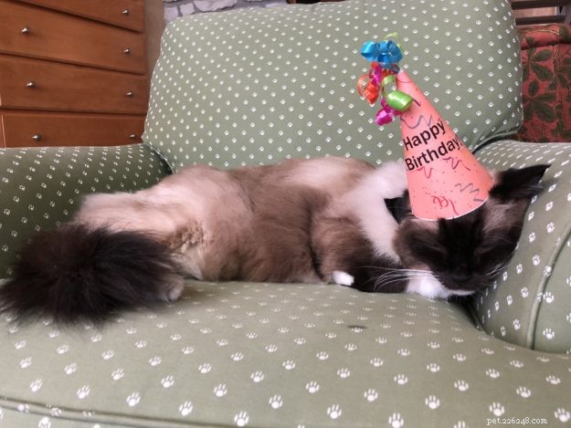 Caymus Turns 14: A Milestone Celebration