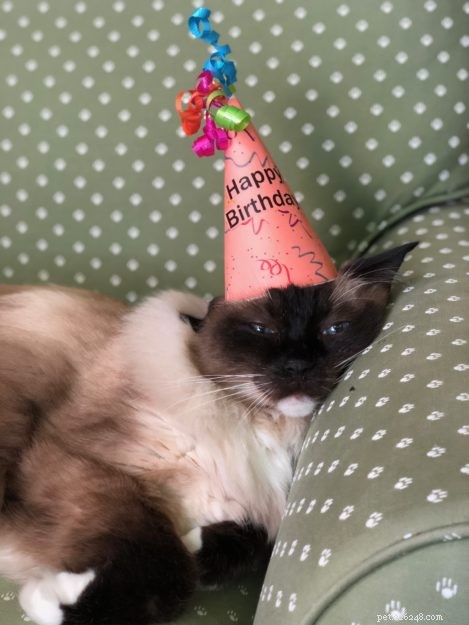 Caymus Turns 14: A Milestone Celebration