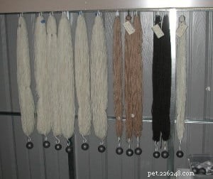 Turn Cat Hair into Beautiful Yarn: DIY Tips & Professional Services