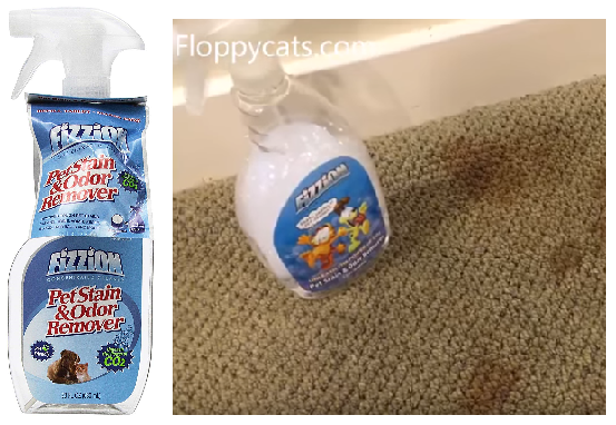 Top 5 Must-Have Products for Stress-Free Cat Ownership