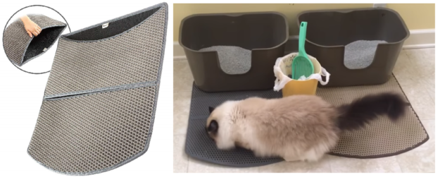 Top 5 Must-Have Products for Stress-Free Cat Ownership