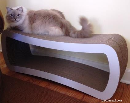 The Ultimate Guide to the Best Cat Scratching Posts for Healthy Cats