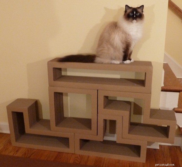 The Ultimate Guide to the Best Cat Scratching Posts for Healthy Cats