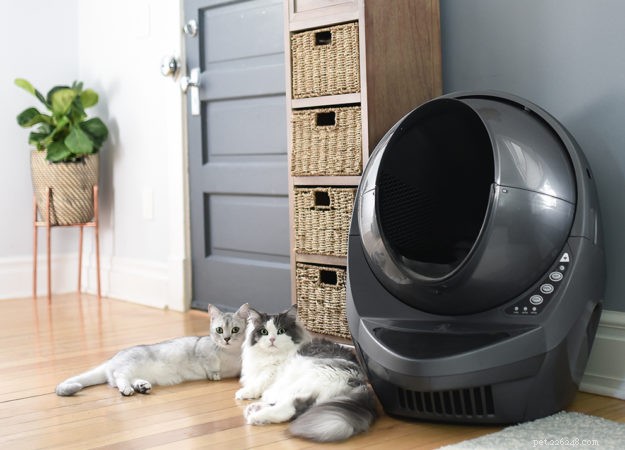Litter‑Robot 3 Open Air Now in Sleek Grey – Grab the Black Friday Bundle Deal