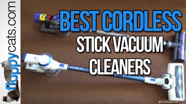 Tineco A10 Hero vs. Dyson V8 Animal: The Ultimate Cordless Vacuum Showdown