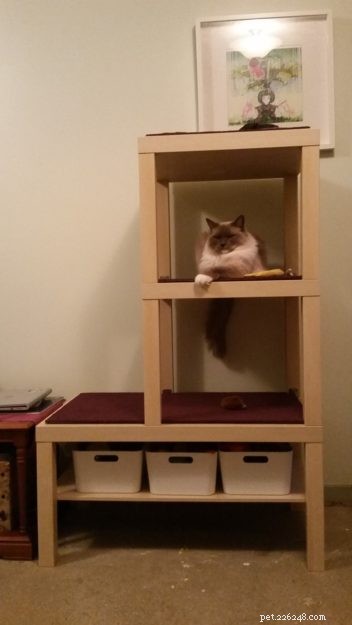 Build a Stylish Cat Tree from IKEA Furniture: A DIY Guide