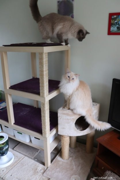 Build a Stylish Cat Tree from IKEA Furniture: A DIY Guide