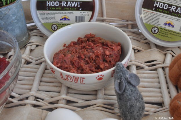 Amy of Big Bear Pet Company: The Story Behind KatManFood & Hoo-RAW Pet Food