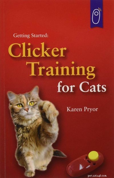 How to Train Your Cat: Proven Tricks & Easy Training Tips