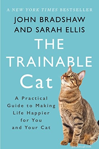 How to Train Your Cat: Proven Tricks & Easy Training Tips