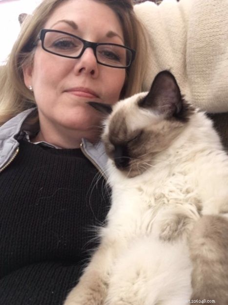 Meet Dolly: The Charming Ragdoll of the Week