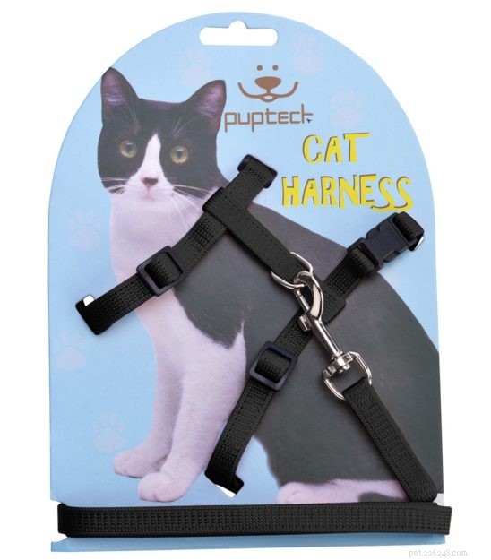 The Ultimate Guide to Choosing the Best Cat Leashes & Harnesses