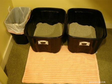 Expert Guide: Seamlessly Relocate Your Cat’s Litterbox