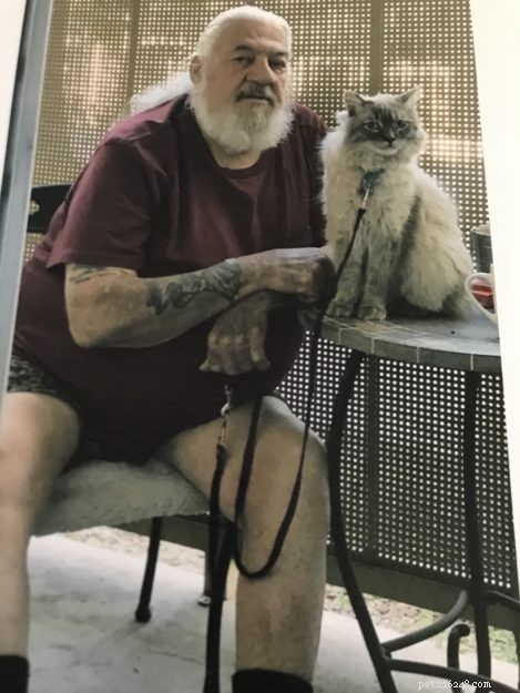 Meet Harley: A Resilient Rescue Cat’s Journey