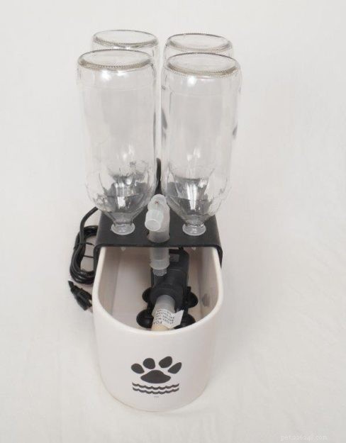 Improve Your Cat s Health with Glacier Point Pet Water Fountains