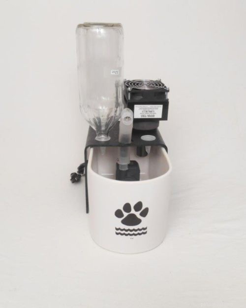 Improve Your Cat s Health with Glacier Point Pet Water Fountains