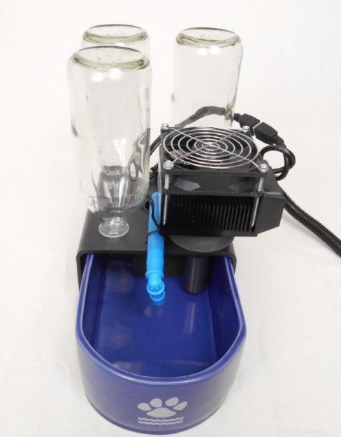 Improve Your Cat s Health with Glacier Point Pet Water Fountains