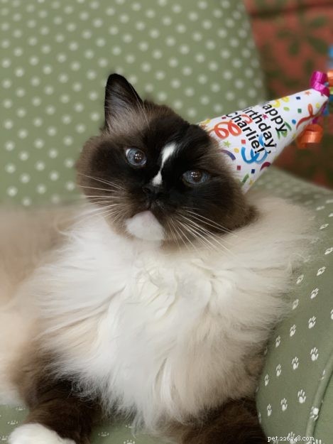 Celebrating Charlie s 10th Birthday: A Milestone Moment