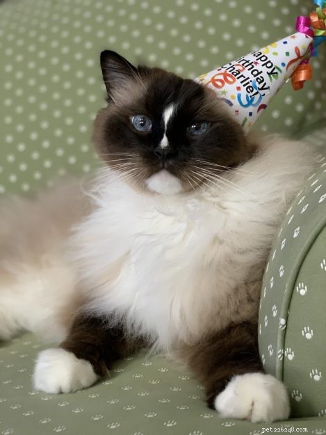 Celebrating Charlie s 10th Birthday: A Milestone Moment