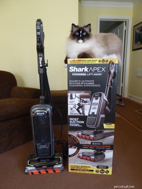 Celebrating Charlie s 10th Birthday: A Milestone Moment