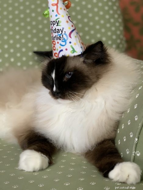 Celebrating Charlie s 10th Birthday: A Milestone Moment