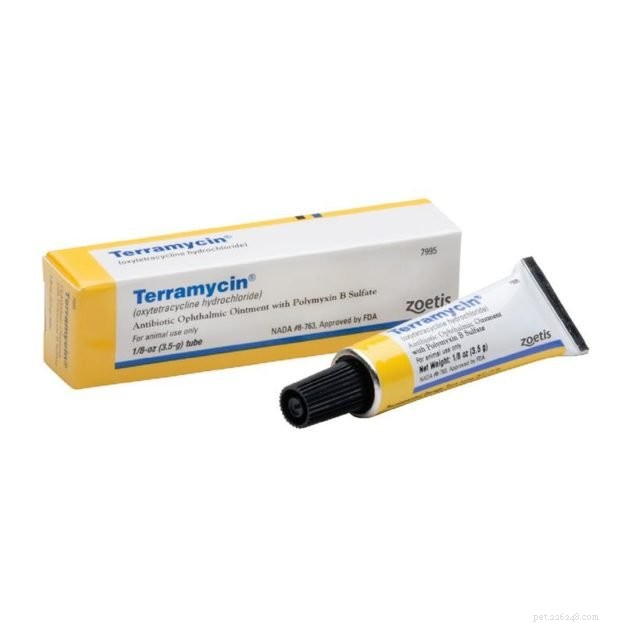 Treating Bacterial Cat Eye Infections: A Trusted Owner’s Guide