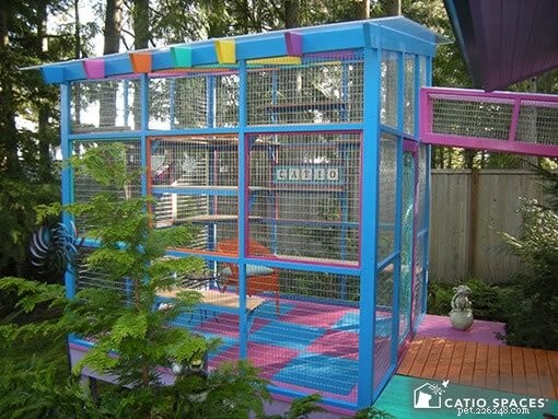 Balcony Catios: A Safe Outdoor Space for Your Feline Companion