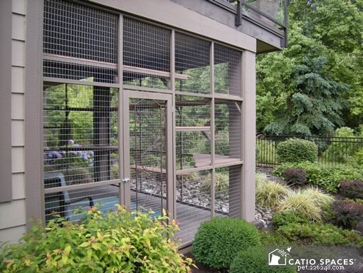 Balcony Catios: A Safe Outdoor Space for Your Feline Companion