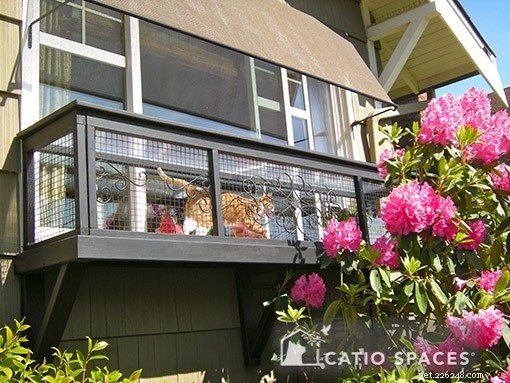 Balcony Catios: A Safe Outdoor Space for Your Feline Companion