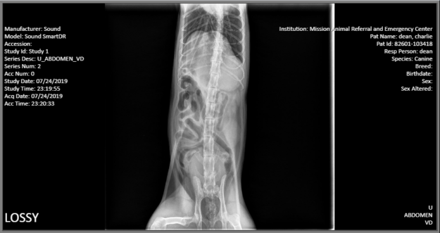 Emergency Vet Visit for Ragdoll Cat Charlie at Mission Veterinary – July 25, 2019
