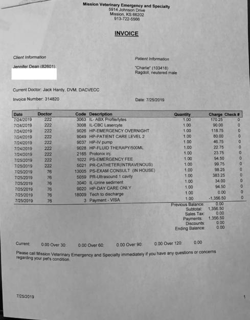 Emergency Vet Visit for Ragdoll Cat Charlie at Mission Veterinary – July 25, 2019
