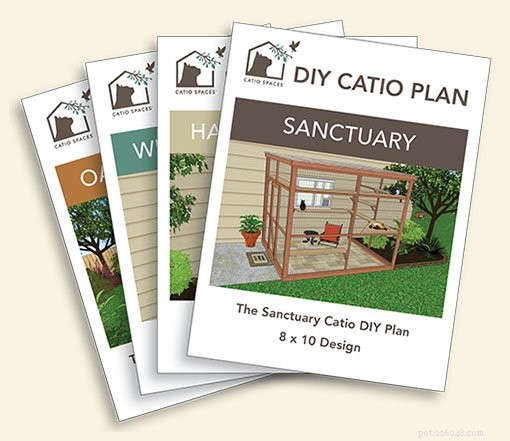DIY Guide: Build a Safe Catio for Your Cat