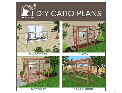 DIY Guide: Build a Safe Catio for Your Cat