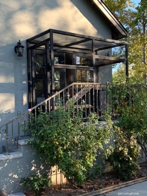DIY Guide: Build a Safe Catio for Your Cat