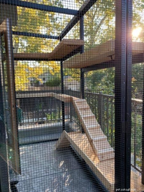 DIY Guide: Build a Safe Catio for Your Cat