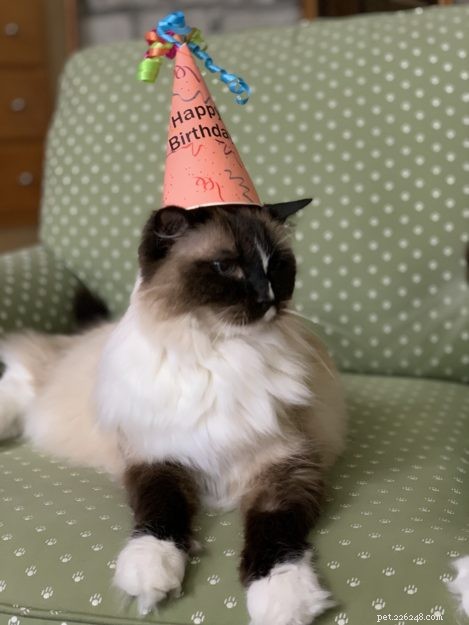 Celebrating 15 Years of Murphy: A Milestone Birthday Tribute