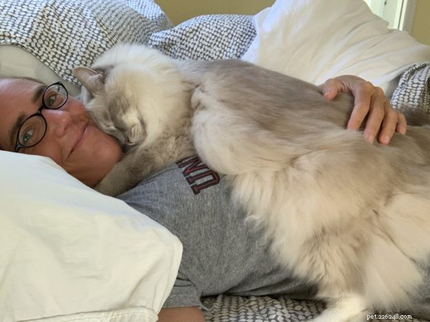 Celebrating Chiggy’s 10th Birthday: A Heartfelt Tribute