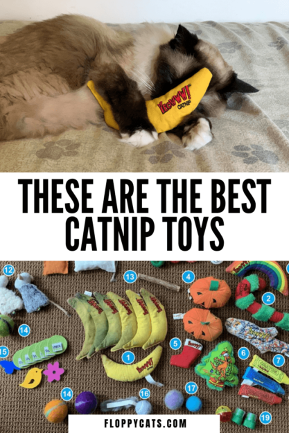 Premium Organic Catnip Toys for Happy, Healthy Cats