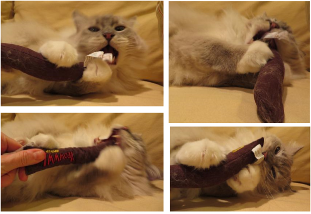 Premium Organic Catnip Toys for Happy, Healthy Cats